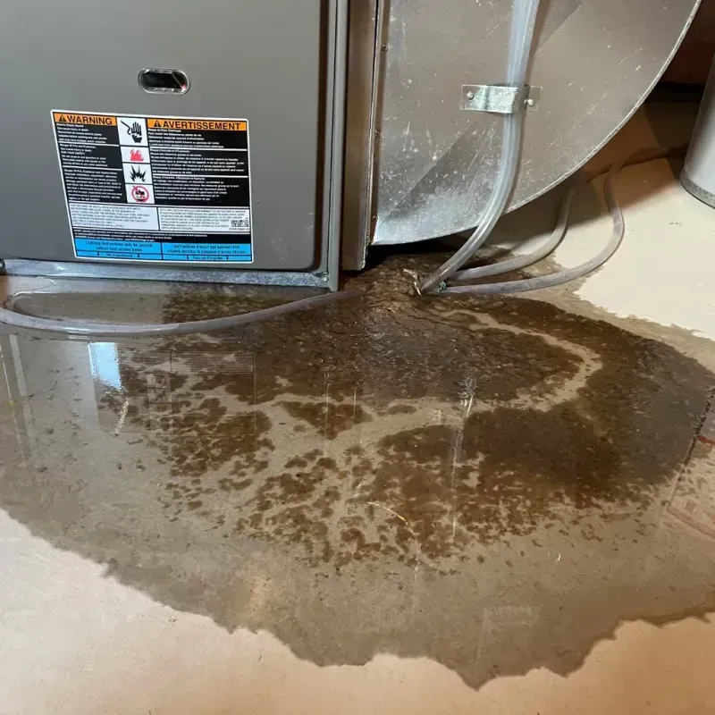 Appliance Leak Cleanup in Hampstead, NC